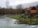 11. Tonković vrilo